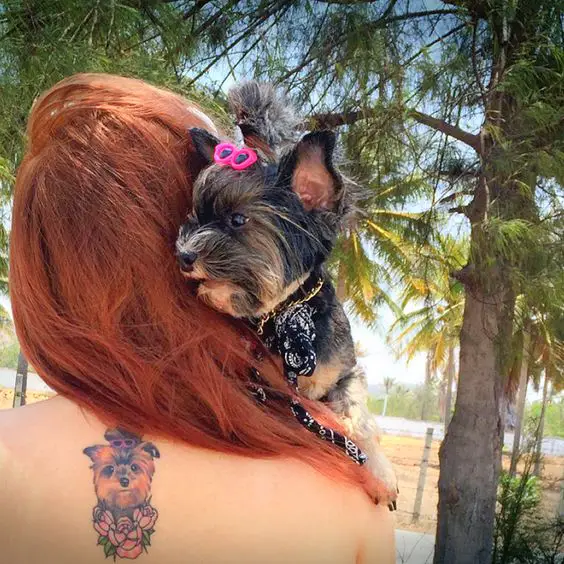 a woman with cute yorkie tattoo on her back while carrying her yorkie