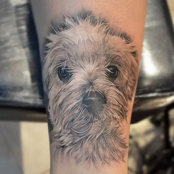 3D adorable face of a yorkie tattoo on the leg