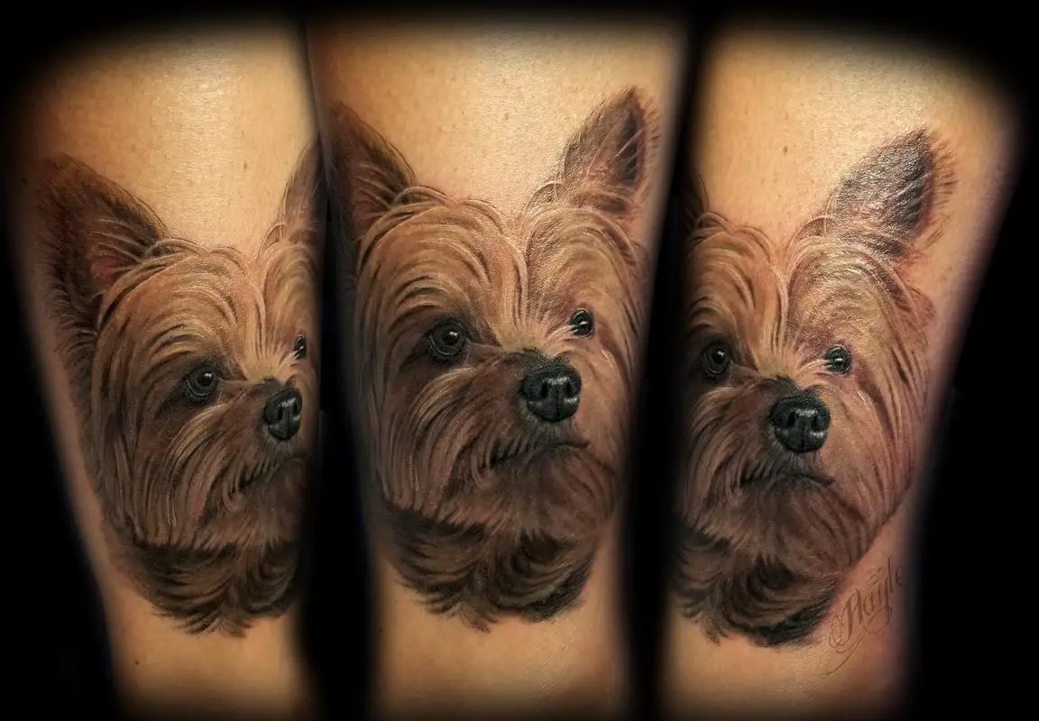 realistic face of a yorkie tattoo on the leg