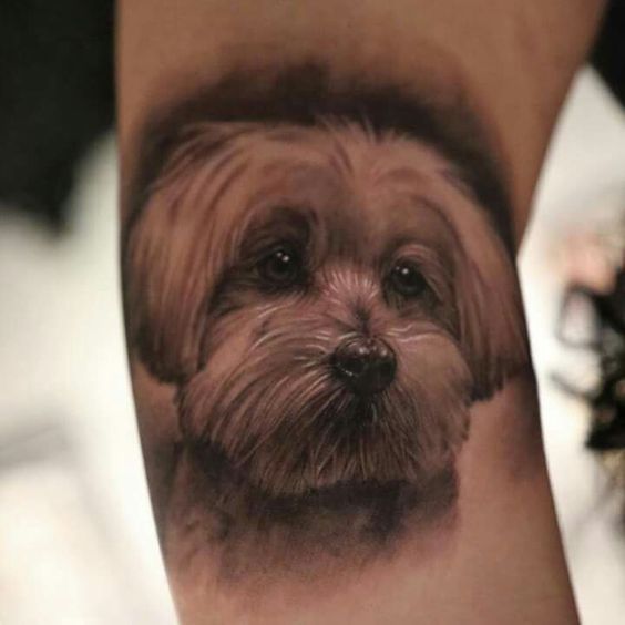 3D sad face of a yorkie tattoo