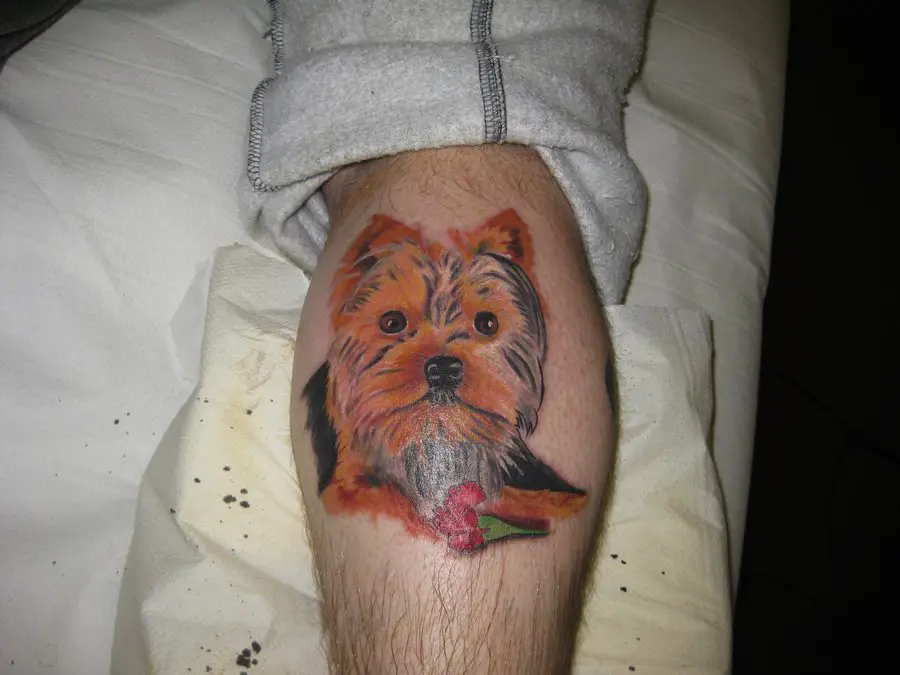 face of a yorkie tattoo on the leg