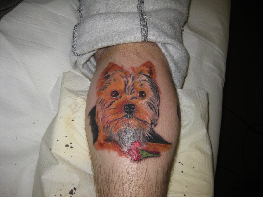 face of a yorkie tattoo on the leg