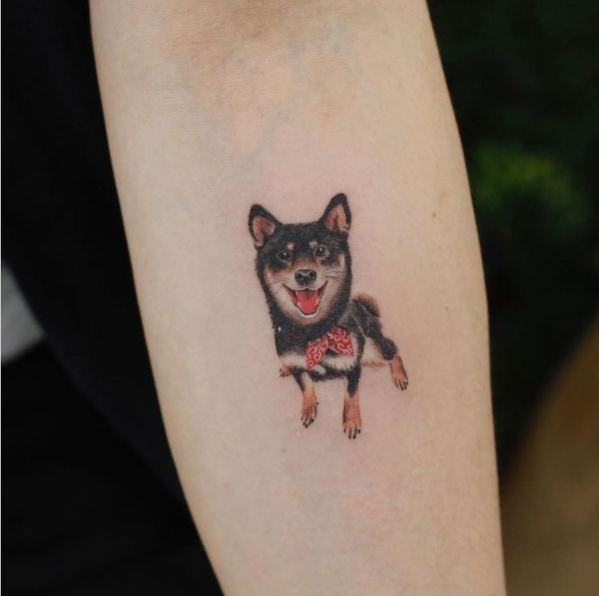 smiling black Shiba Inu tattoo on the forearm