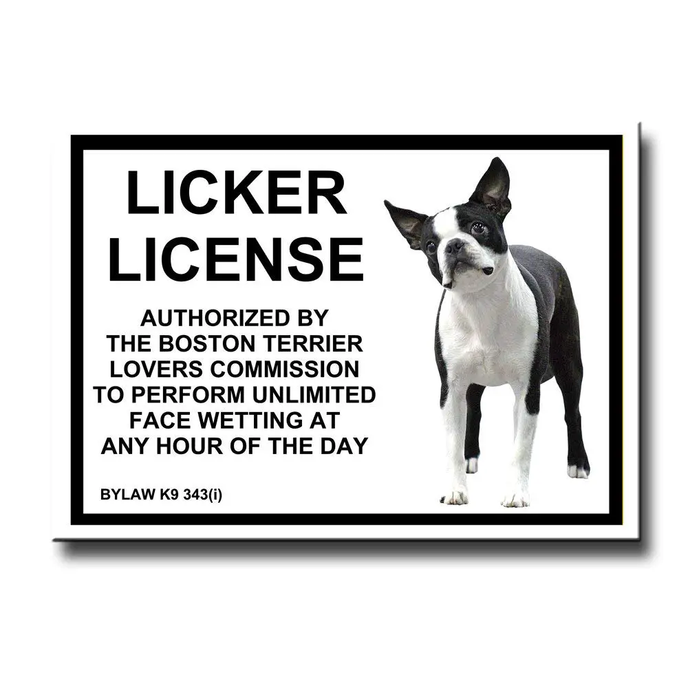 fridge magnet Licker Licenese Boston Terrier