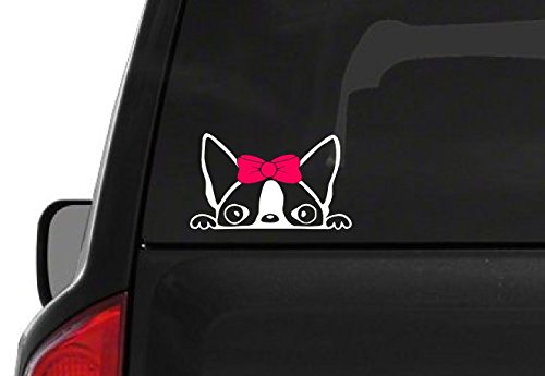 Peeking Boston Terrier with red ribbon on top of its head decal sticker in the car trunk