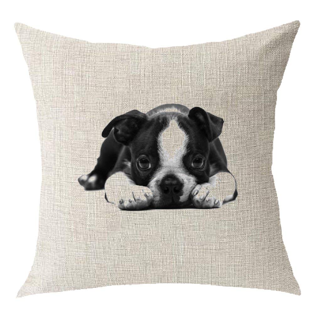 Throw pillow with a print of a Boston Terrier lying down