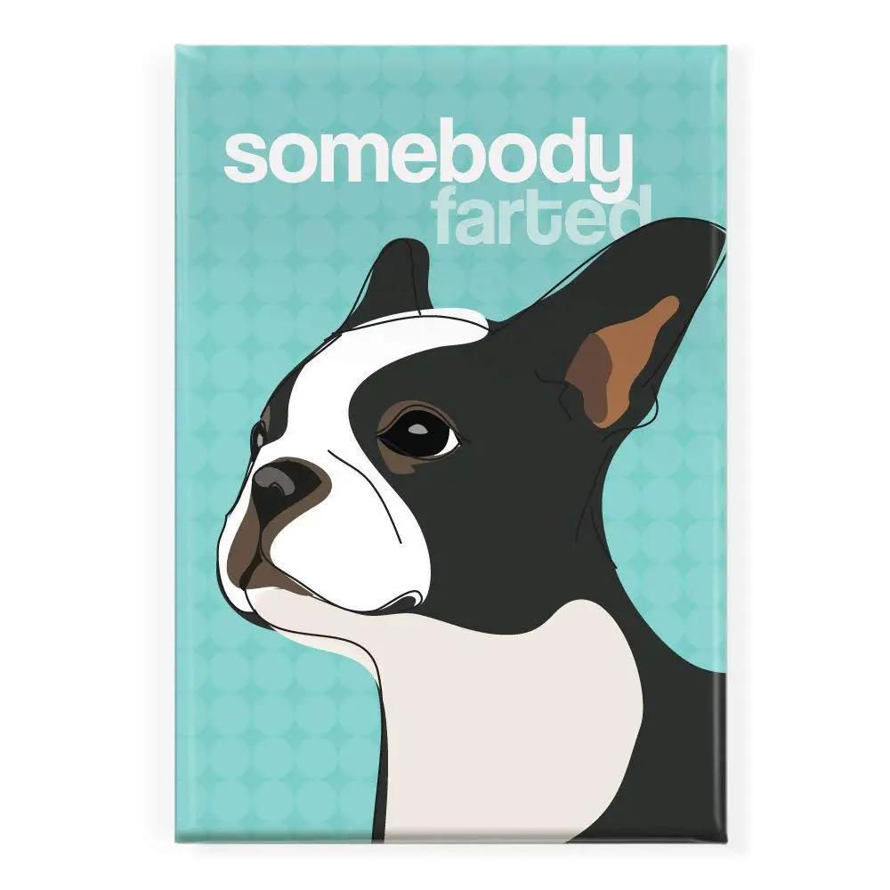 Fridge magnet with a Boston Terrier artwork with text 