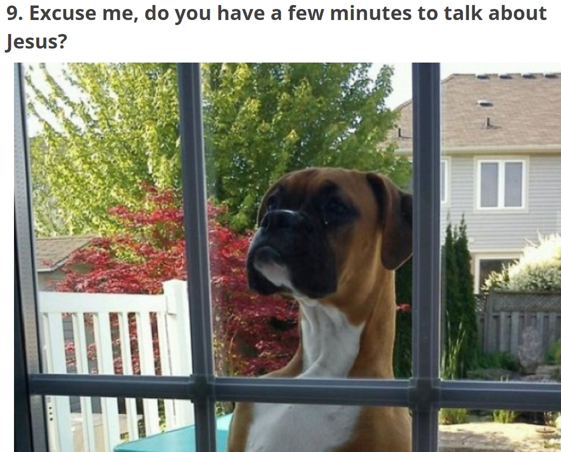 A Boxer Dog outside peeking behind the glass door photo with caption - Excuse me, do you have few minutes to talk about Jesus?