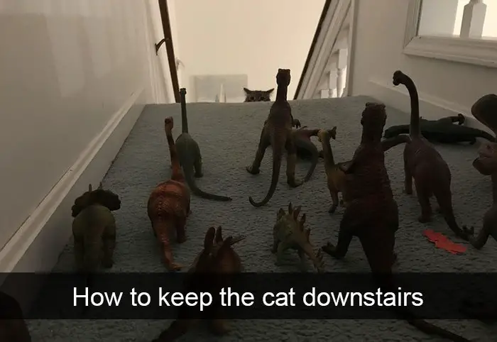 A group of dinosaurs on the stairway while a cat is peeking behind photo with caption - How to keep the cat downstairs