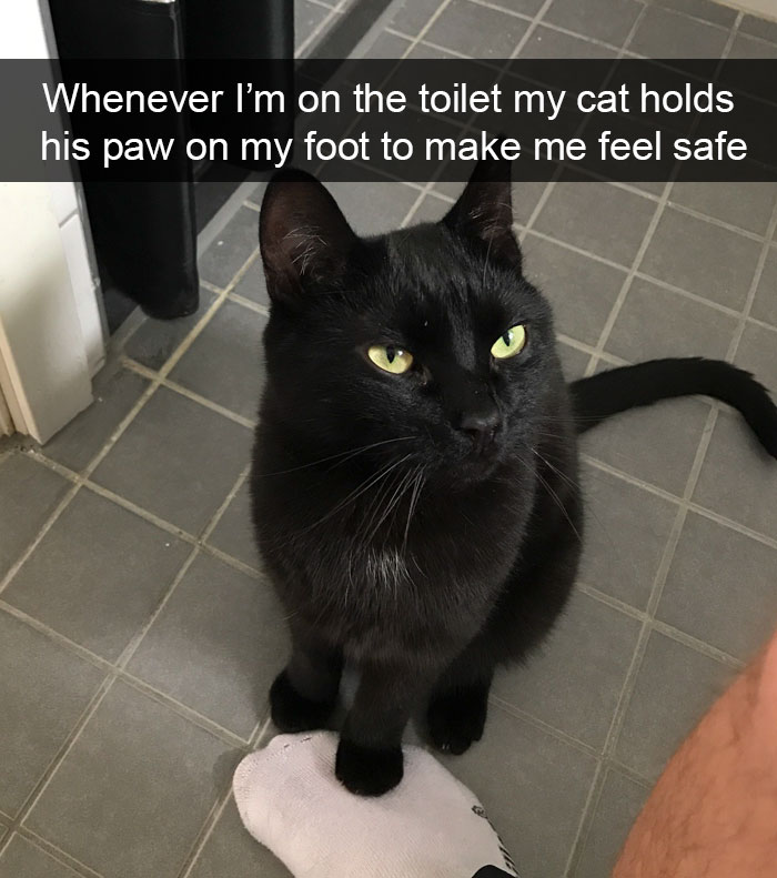 A black cat sitting on the floor with its paw on top of the foot of a woman photo with caption - Whenever I'm on the toilet my cat holds his paw on my foot to make me feel safe