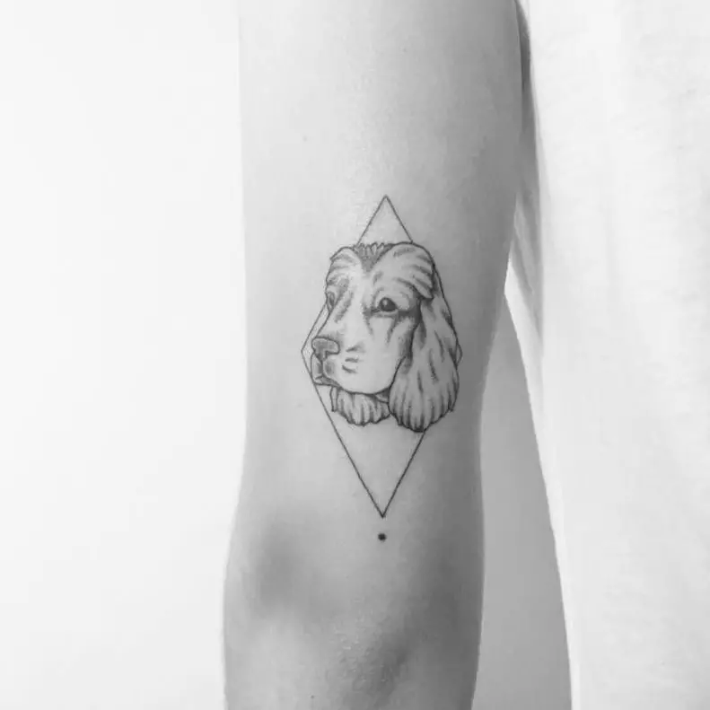 face of Cocker Spaniel inside a diamond shape Tattoo on the back of the arm
