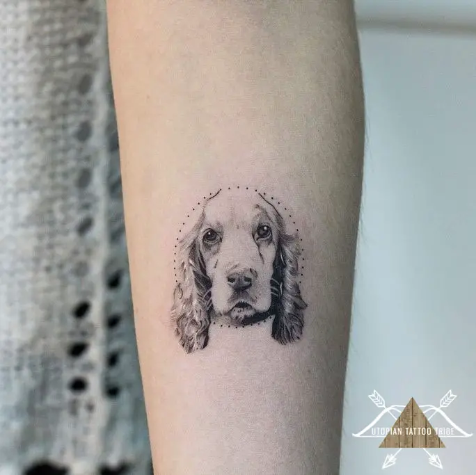 small face of Cocker Spaniel Tattoo on the forearm