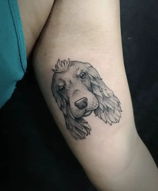 face of Cocker Spaniel Tattoo on the biceps