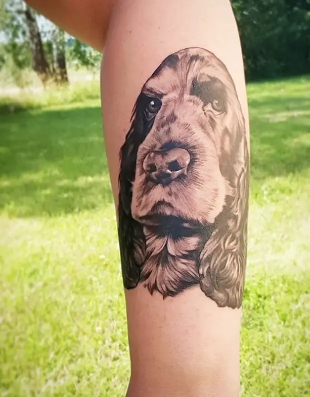 face of Cocker Spaniel Tattoo on the forearm