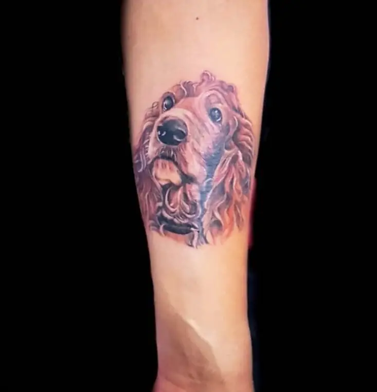 face of red Cocker Spaniel looking up Tattoo on the forearm