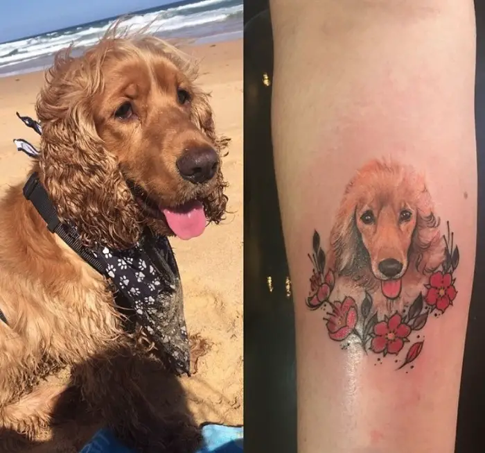 realistic face of Cocker Spaniel with red flowers Tattoo on the forearm