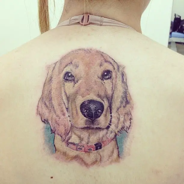 colored face of Cocker Spaniel Tattoo on the back
