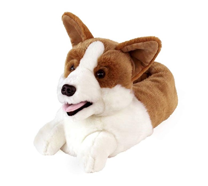 Corgi Slippers in white background