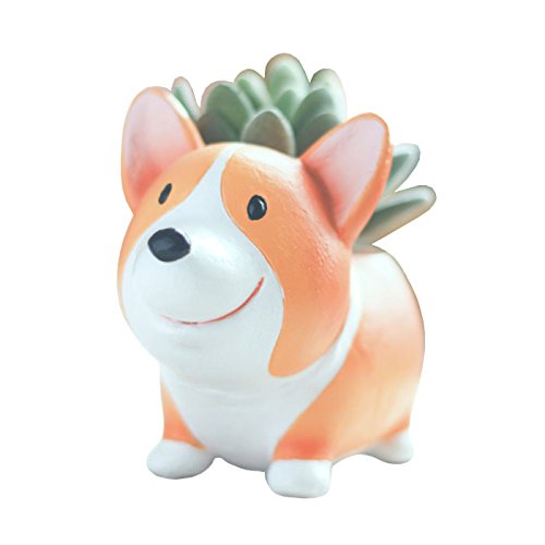 A Cute Corgi Vase in a white background