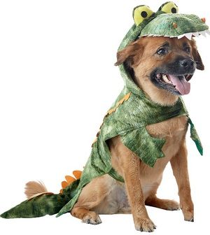 German Shepherd puppy in crocodile costume