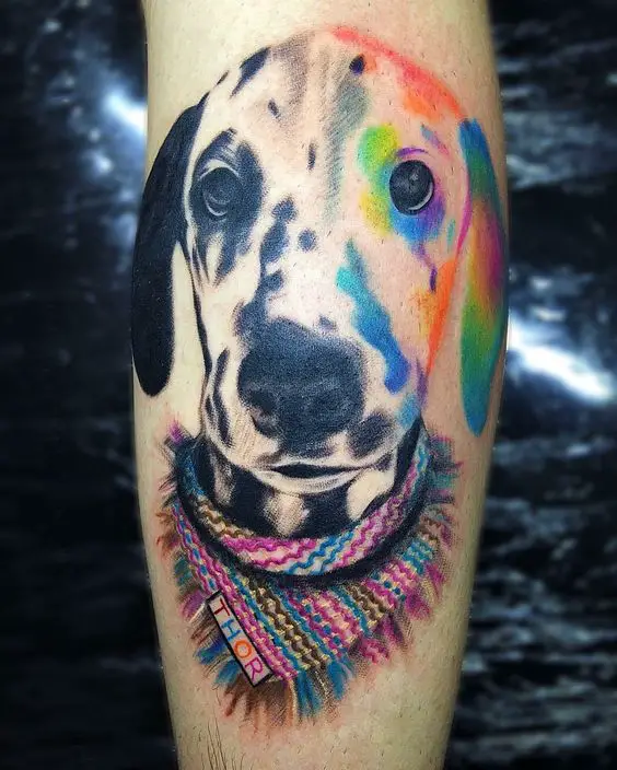 face of Dalmatian with colorful paints pattern on one side of its face and wearing a colorful scarf tattoo on the leg
