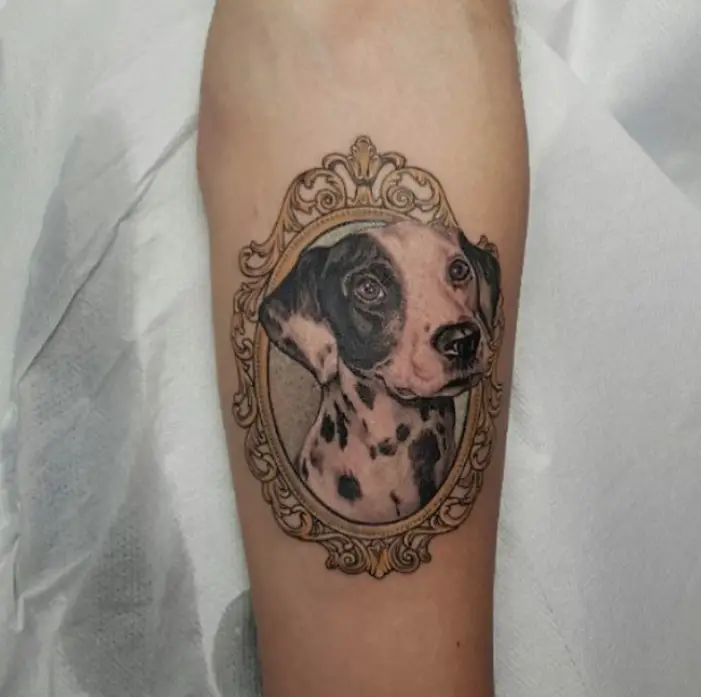 Dalmatian dog inside a vintage frame tattoo on the forearm