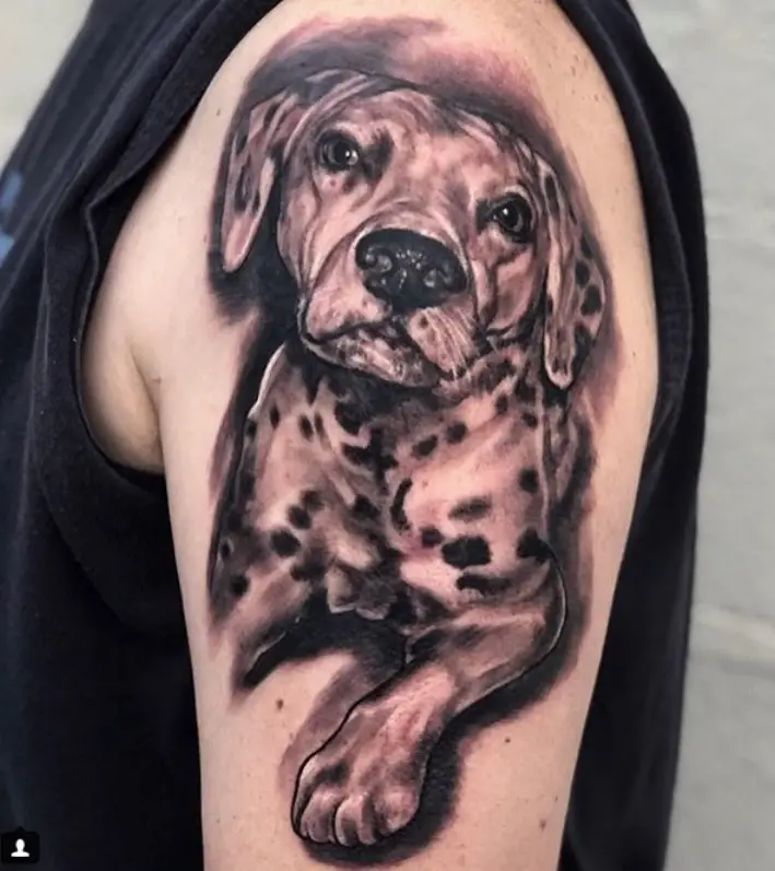 3D Dalmatian puppy lying down large tattoo on the shoulder