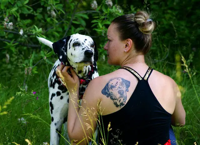 face of Dalmatian on the back of a girl while sitting on the green grass while petting her Dalmatian dog