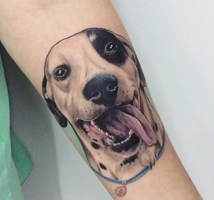 happy Dalmatian with its tongue sticking out tattoo on the forearm