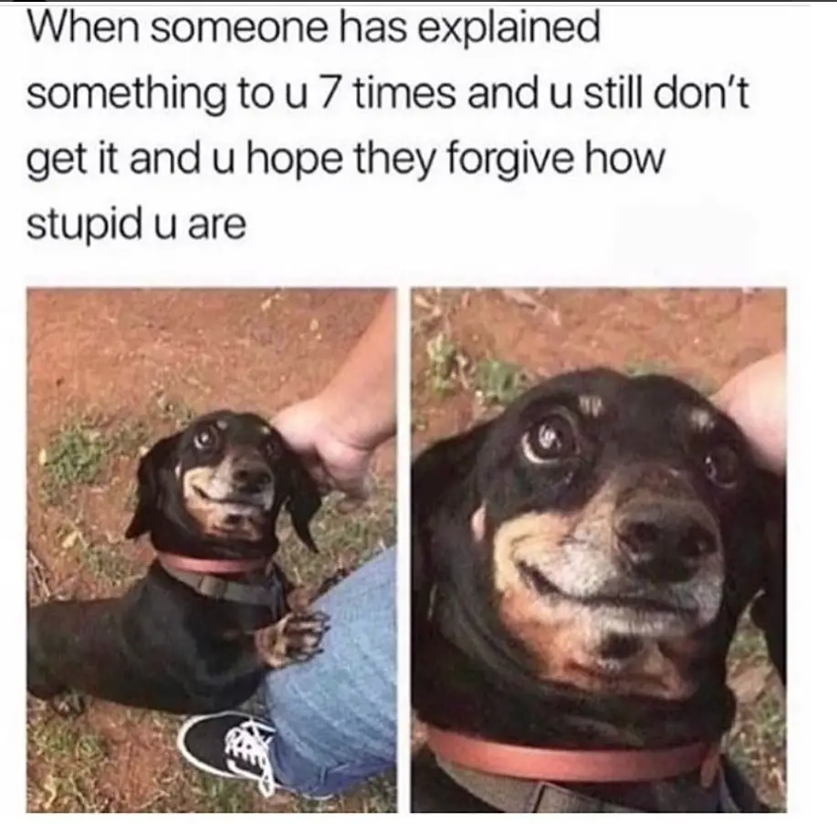 two photos of a Dachshund standing up leaning on the legs of a man while smiling with its sweet face with caption-When someone has explained something to you 7 times and u still dont get it and u hope they forgive how stupid u are 