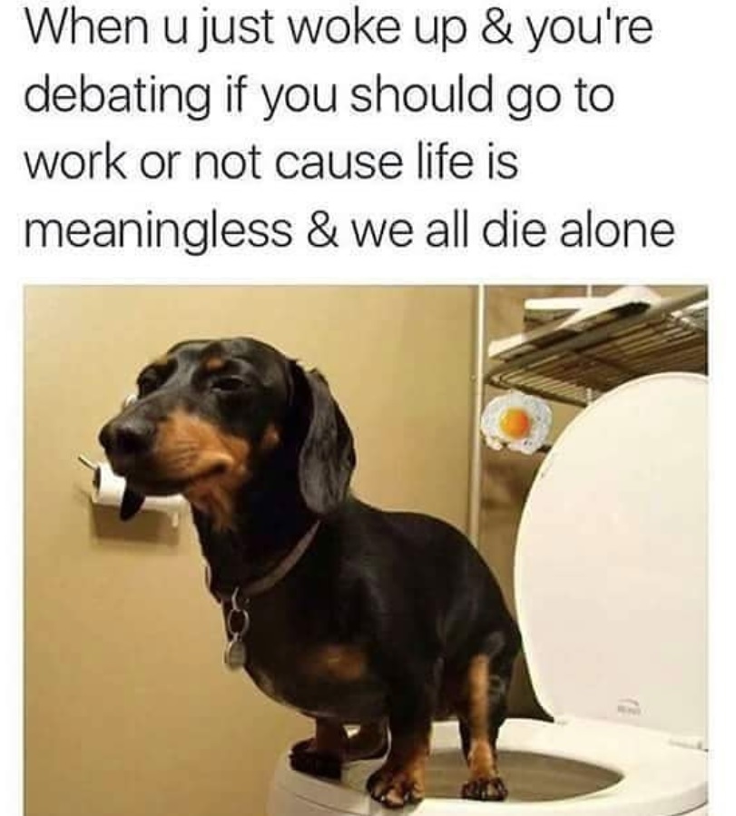 Dachshund pooping in the toilet photo with caption -When u just woke up and you're debating if you should go to work or nit cause life is meaningless and we all die alone