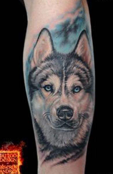 3D realistic black and white Husky with blue eyes and blue background tattoo on the leg of a man