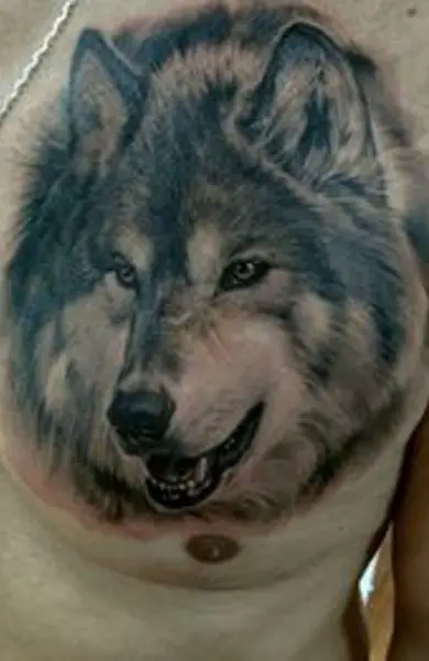 black and gray tattoo of a Husky on the chest of a man