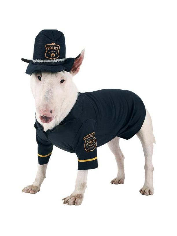 English Bull Terrier in police costume