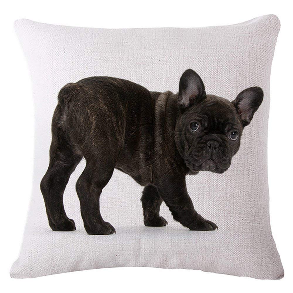 a throw pillow with French Bulldog print