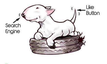 Bull Terrier on top of a tire drawing with its tail labeled with 
