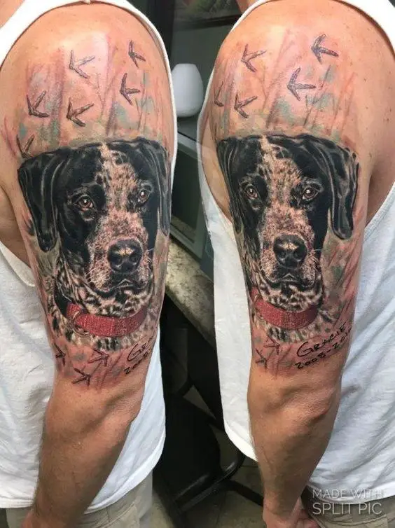 realistic German Shorthaired Pointer dog tattoo on the shoulder
