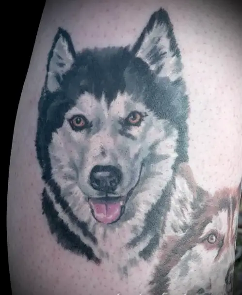 realistic black and white smiling Husky tattoo for men