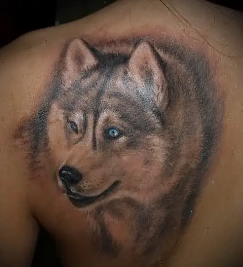 sideview head of a Husky in soft black and gray tattoo on the back