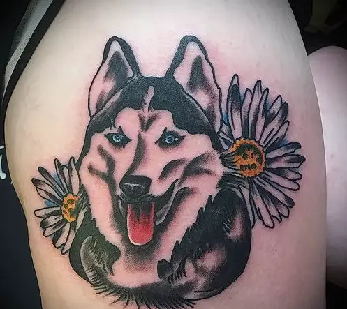 A husky sticking its tongue out with daisy tattoo on the shoulder