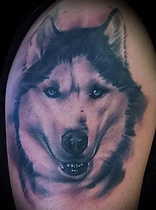 realistic face of a Husky tattoo on the shoulder of a man