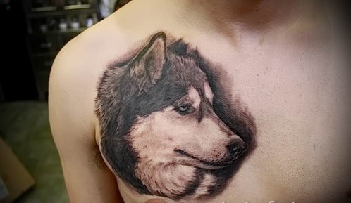 3D sideview head of a Husky tattoo on the chest