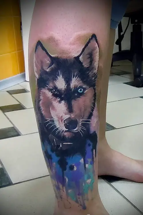 A husky with blue and brown eyes 3D tattoo with dripping blue, black, and green colors on its base tattoo on the leg of a man