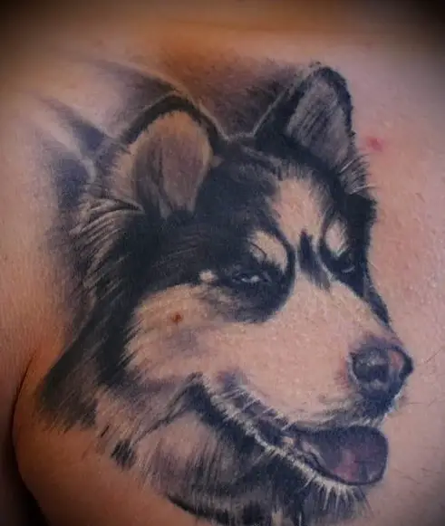 3D sideview head of a Husky with tired eyes and mouth slightly open tattoo on the shoulder