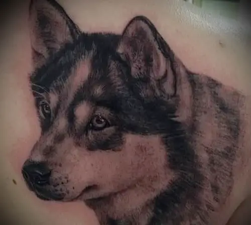 sideview head of a Husky in black and gray tattoo