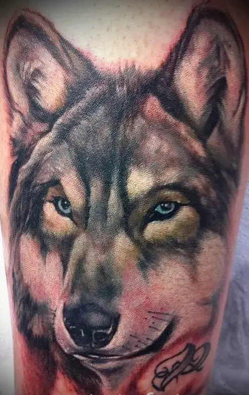 large realistic face of a Husky tattoo