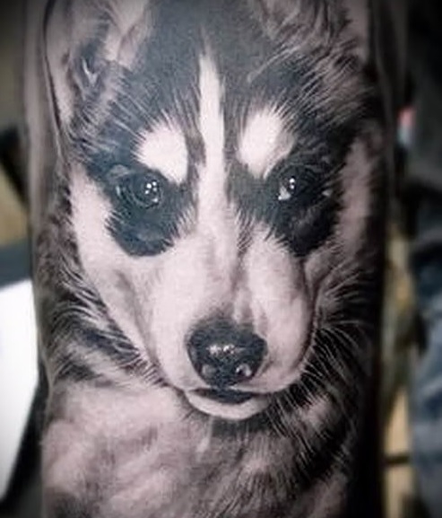 black and white Husky puppy with adorable eyes tattoo