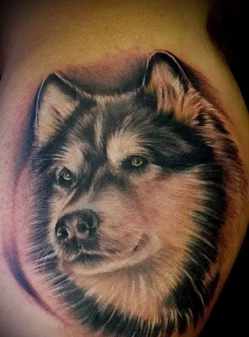 3D Face of black and white Husky tattoo