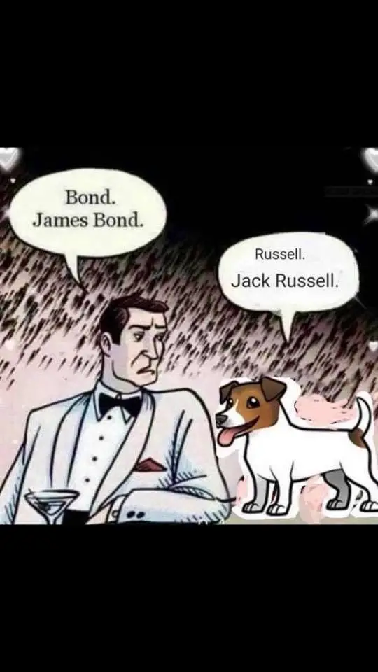 animated man talking to a Jack Russell Terrier saying 