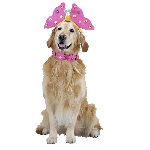 Golden Retriever with pink Butterfly headpiece and pink flowers around its neck